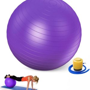 Gym /Yoga Exercise Ball 65cm