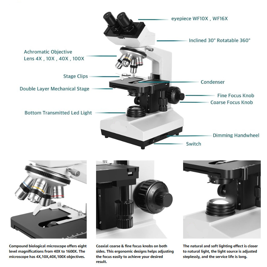 Binocular Microscope -107BN - Image 2