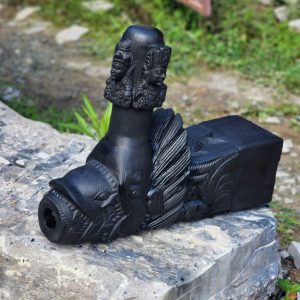 Makara Dhara